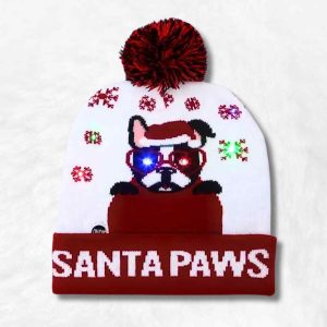 Bonnet de Noël Drole